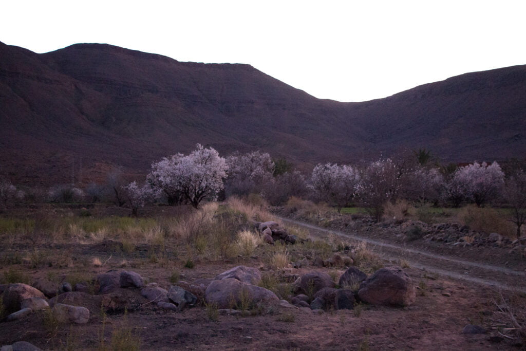 Trek au Djebel Saghro et Vallée des Roses au Maroc. Explore à Perte de Vue blog de trek et randonnée en France et à travers le monde.