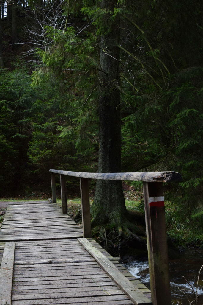 Blog d'itinéraires de trek et randonnée et conseil voyage. Randonnée dans les Hautes-Fagnes en Belgique : itinéraire et recommandations.