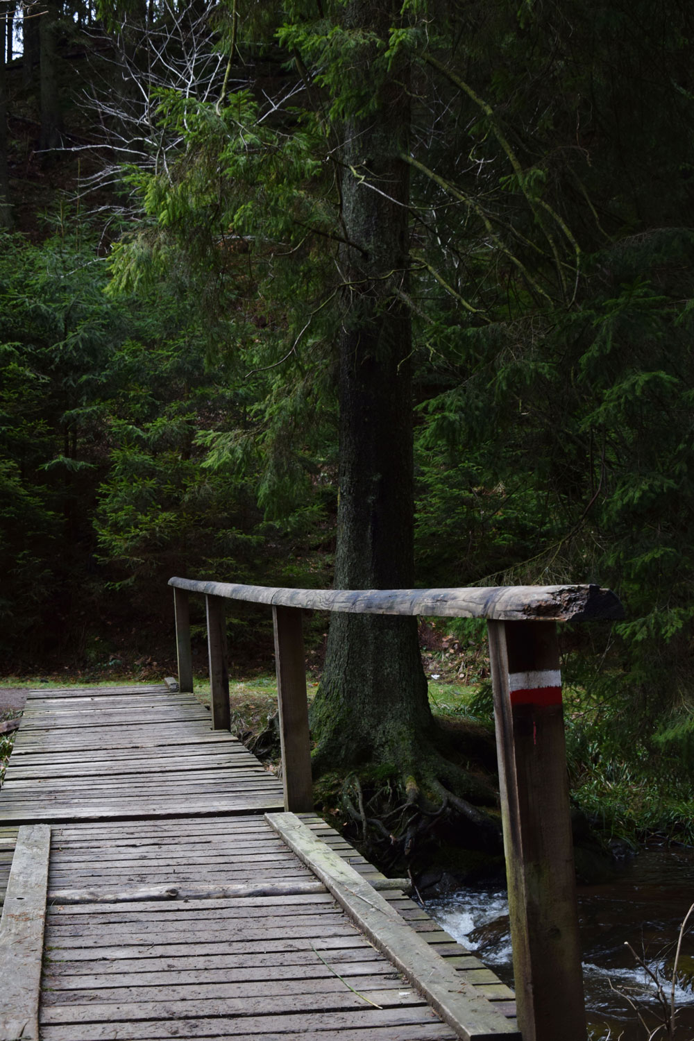 Blog d'itinéraires de trek et randonnée et conseil voyage. Randonnée dans les Hautes fagnes en Belgique.