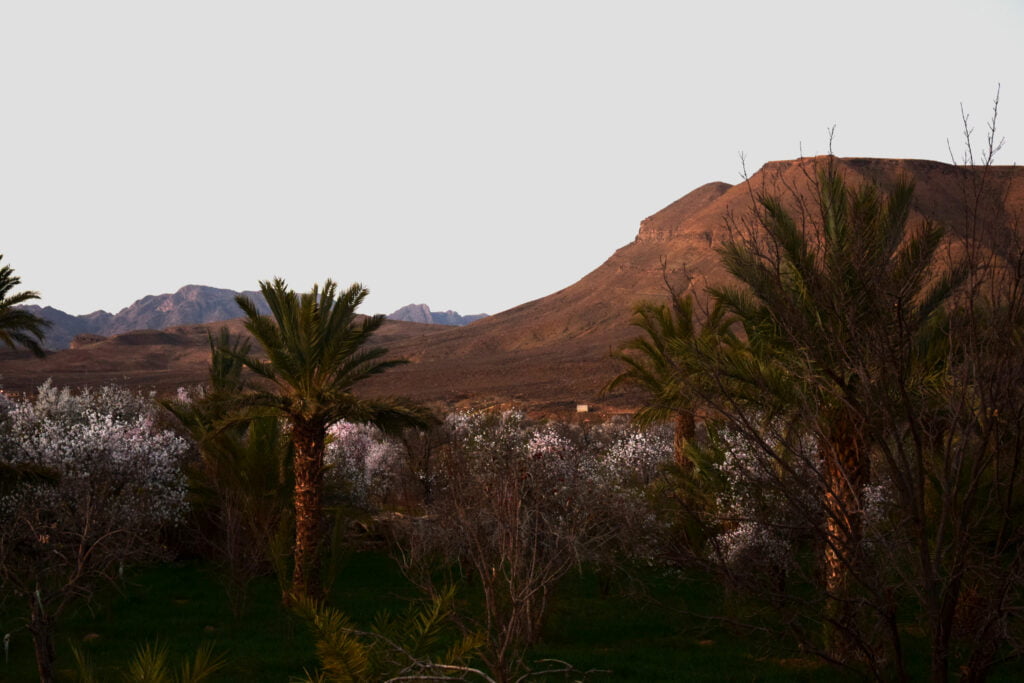 Trek au Djebel Saghro et Vallée des Roses au Maroc. Explore à Perte de Vue blog de trek et randonnée en France et à travers le monde.