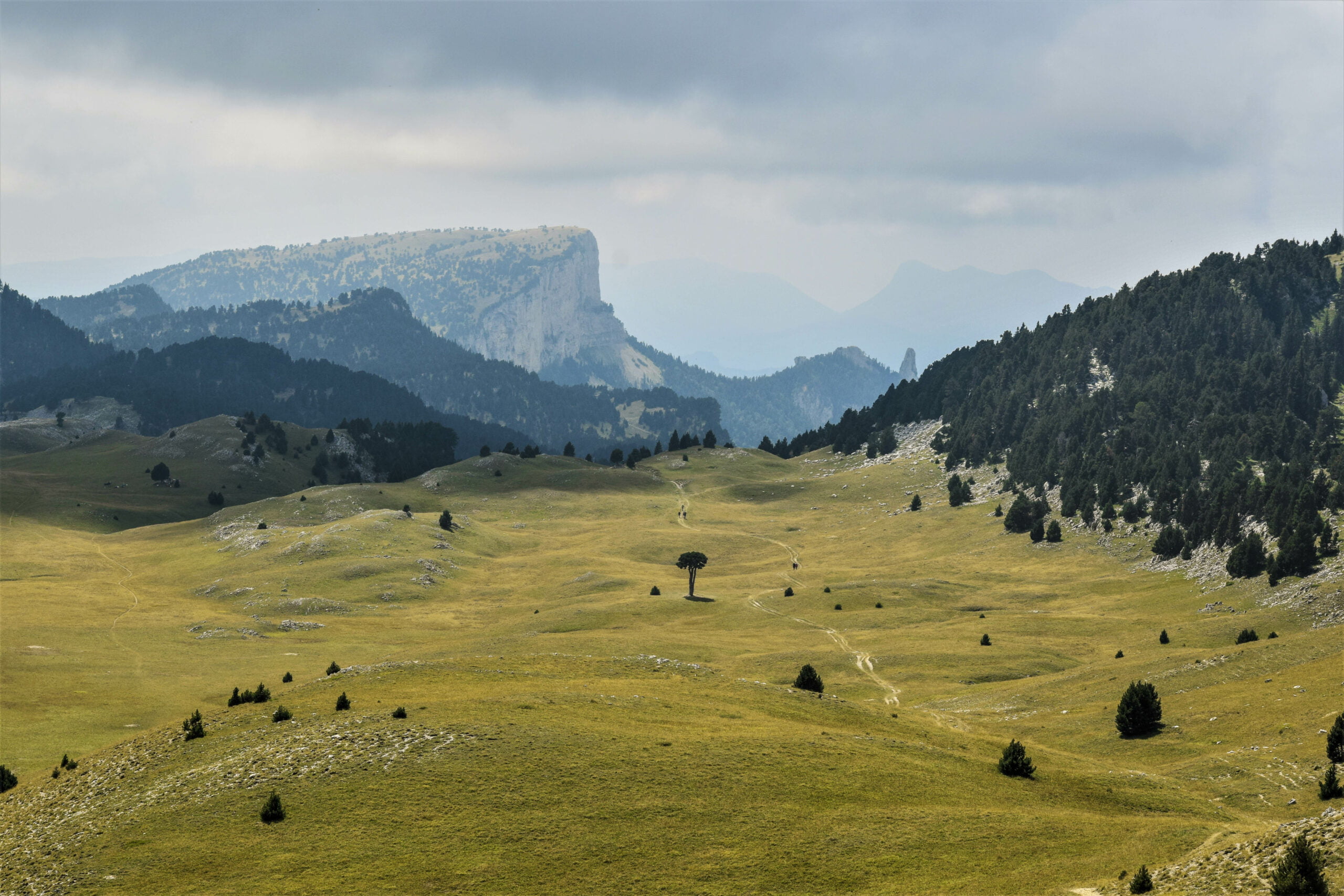 Explore à perte de vue, randonnée sur les hauts plateaux du Vercors dans la Drôme.