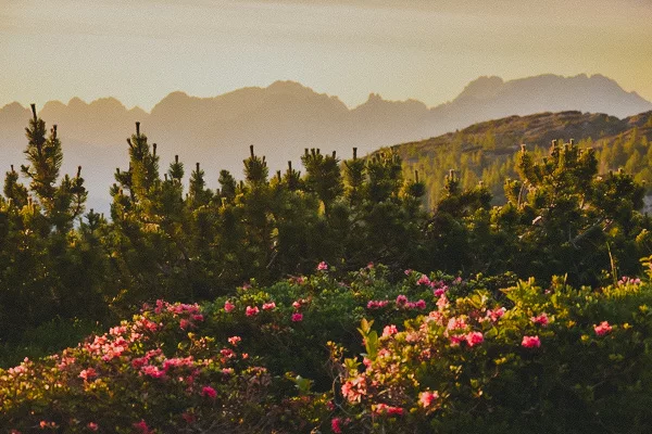 Trek de 7 jours les Dolomites en Italie : conseils, itinéraires, recommandations et photos pour réaliser un trek dans les Dolomites en Italie.Citta di Carpi