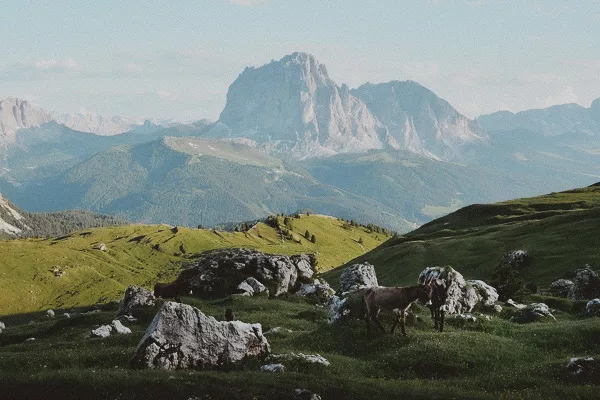 Trek de 7 jours les Dolomites en Italie : conseils, itinéraires, recommandations et photos pour réaliser un trek dans les Dolomites en Italie. Val Gardena