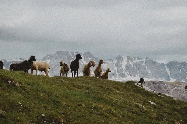 Trek de 7 jours les Dolomites en Italie : conseils, itinéraires, recommandations et photos pour réaliser un trek dans les Dolomites en Italie. col de Gherdenacia.