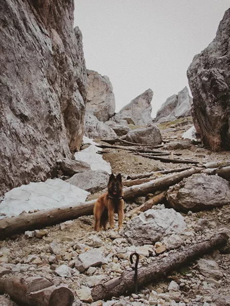 Trek de 7 jours les Dolomites en Italie : conseils, itinéraires, recommandations et photos pour réaliser un trek dans les Dolomites en Italie. Forcella di Pana