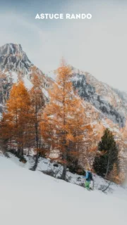 🎒💨 Marvin en rando ?

Il y a une seule règle :
Plus vite tu redescends → plus vite tu manges ! 🧀🤤

Tague ton partenaire de course…
⚡ Le premier en bas : double portion 😜

#randonnée #raclette #montagnelovers #hiver2025 #swissalps #mountainscape