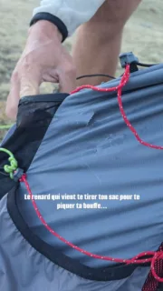 Les petits bonheurs du bivouac 😅🦊

La tente est plantée dans un décor de rêve. On est confortablement installés dans nos duvets quand, tout à coup, la tente bouge...

« Mon sac a disparu », crie Marvin !

On sort en catastrophe de la tente et on découvre un renard, la tête dans le sac, qu'il a tiré une dizaine de mètres plus loin...

On sait qu'il ne nous lâchera pas et qu'il est prêt à déchiqueter la tente pour choper de la nourriture.

Alors, on prend la désagréable décision de tout remballer et de changer de spot... (+1h30 de marche 😅)

À qui c'est déjà arrivé ? 🦊

#bivouac #trek #renard #randonnée #outdoorlife