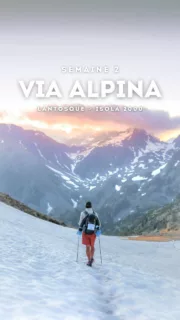 Deuxième semaine d'aventure ! 🥰

11 jours sur la Via Alpina ! Nous venons de rejoindre Isola 2000 où nous allons faire une petite pause bien méritée. 😴🍕

Récap de ces 4 derniers jours :

🥾 60 km de marche
🧗🏼‍♀️ 2 grande voies

🗺️ Notre itinéraire : 

Lantosque - Belvédère - vallon de la Gordolasque - lacs des Prals - la Madone de Fenestre - le Boréon - lacs de Tavels - Isola 200

Côté grimpe :

🌲 Barre de la Lèche : le Tomawak (TD- 6b>6a+ I P1)
Petite grande voie de 6 longueurs sans pression dans le cadre enchanteur de la vallée du Boréon. Une falaise idéale pour grimper dans du niveau facile et intermédiaire !

🗻 Aiguilles des Portettes : Le Ciel pour Témoin (TD 6b>6a+ I P)
Une grande voie style montagne en dalle et dièdre avec un équipement bien espacé et beaucoup de lichen. Le cadre au-dessus des lacs est par contre incroyable !

On avait prévu une grande voie au-dessus des lacs de Prals mais nous avons du abandonner l'idée lorsque le renard nous a attaqué au bivouac 🦊😰 (on a raconté l'histoire dans le réel précédent). 

👉🏼 Pour cette aventure on porte une tenue @eider.outdoor et notre matos vient de @snowleader74

À très vite pour la suite de l'aventure ! ❤️

#viaalpina #trekking #escalade #randonnée #bivouac