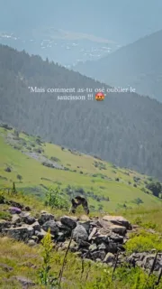 Et toi tu te chamailles pour quoi en randonnée ? 😝

#montagne #alpes #marmotte #animauxsauvages #randonnée