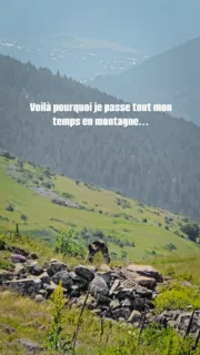 On ne s'en lassera jamais...🥹

Qui a déjà vu un combat de marmottes ? 🥊

#montagne #alpes #marmotte #animauxsauvages #randonnée