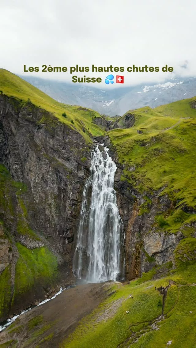 Les deuxièmes plus hautes chutes de Suisse 💦

Les paysages d'Engstligen Falls ne sont pas sans nous rappeler l'Islande. Ici, l'eau se jette de 600m ! 

Infos pratiques : 

📍Adelboden
🇨🇭 Canton de Berne 
🅿️ Parking du téléphérique (gratuit)
🥾 Accès à pied : 2h aller retour / 350m+
🧗🏼‍♀️ Accès en via ferrata : K2 - 1h30
🚡 Accès en télécabine : 39 CHF aller-retour + boucle d'1h 

Rafraîchissant n'est-ce pas ? 🩵

#cascade #adelboden #suisse #randonnée #swissalps