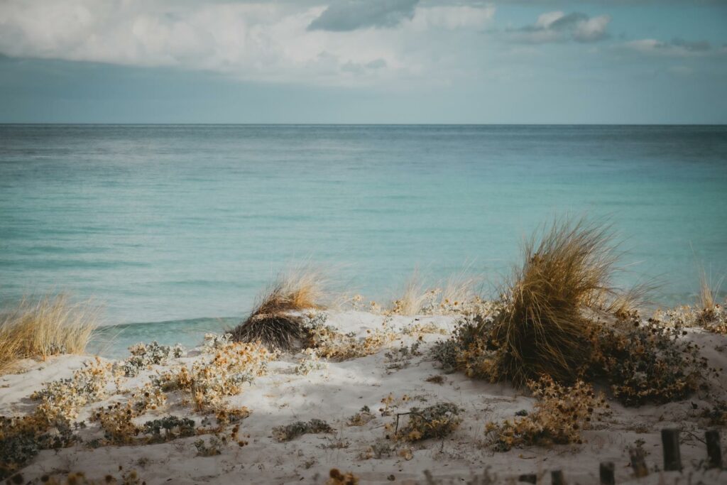 Photographie plage de Saleccia en Corse, mer turquoise plage de sable blanc paradisiaque