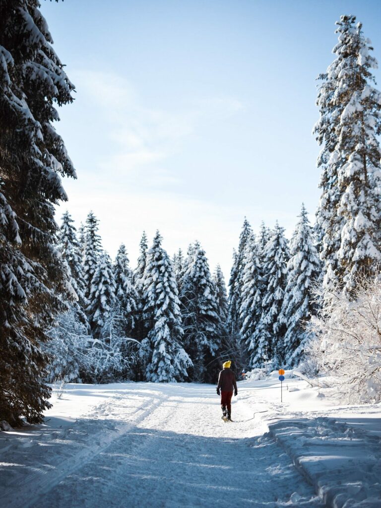Randonnée hivernale, itinéraire et conseil à l'Haiea d'Amont station de la Praille dans l'Ain. Explore à Perte de Vue blog randonnée, trek et voyage.