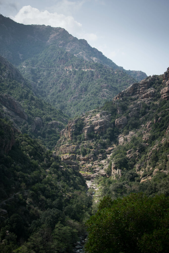 Randonnée mini trek gorges de la Spelunca et foret d'Aiton en Corse du Sud Evisa