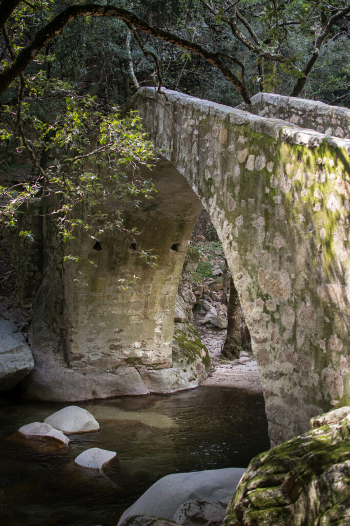 Randonnée mini trek gorges de la Spelunca et foret d'Aiton en Corse du Sud Evisa