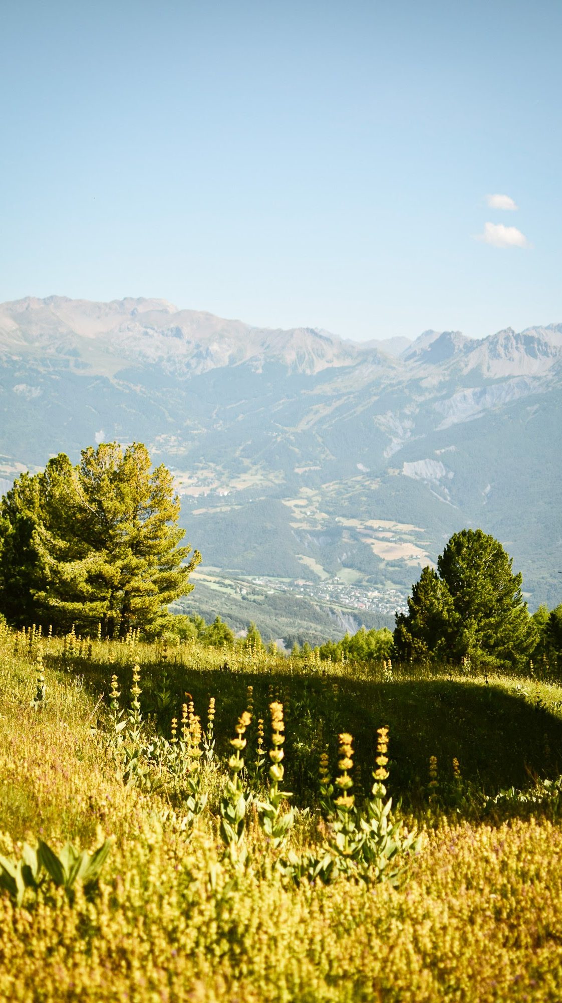 Randonnée à la Grande Epervière à Barcelonnette Alpe de Haute Provence