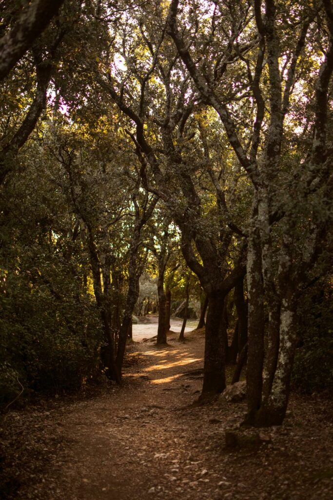 randonnée difficile au Pont du Gard département du Gard. Itinéraire, topo et recommandations. Blog randonnée escalade trek Explore à perte de Vue