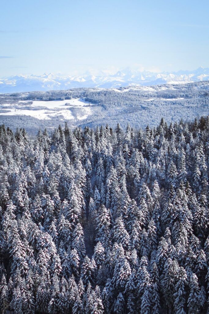 Randonnée hivernale, itinéraire et conseil à l'Haiea d'Amont station de la Praille dans l'Ain. Explore à Perte de Vue blog randonnée, trek et voyage.