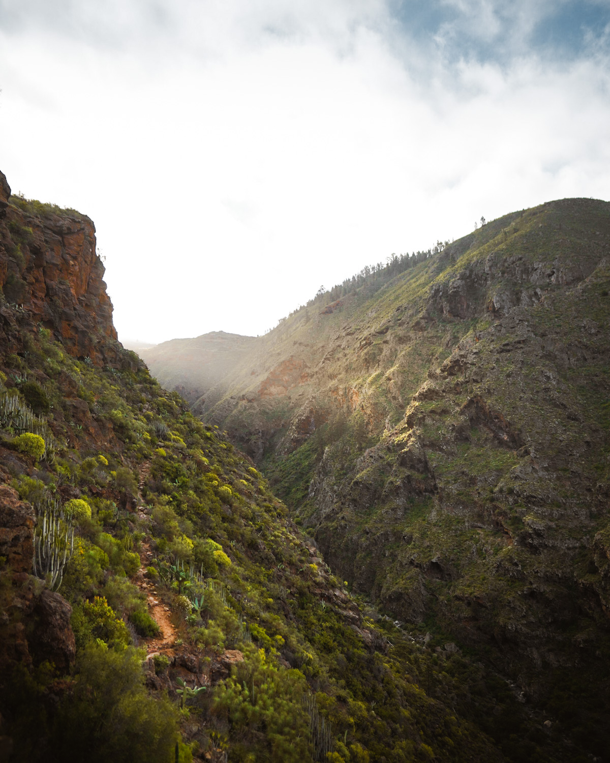 Escalade sportive en Couenne à Guaria grimper sur l'île de Tenerife