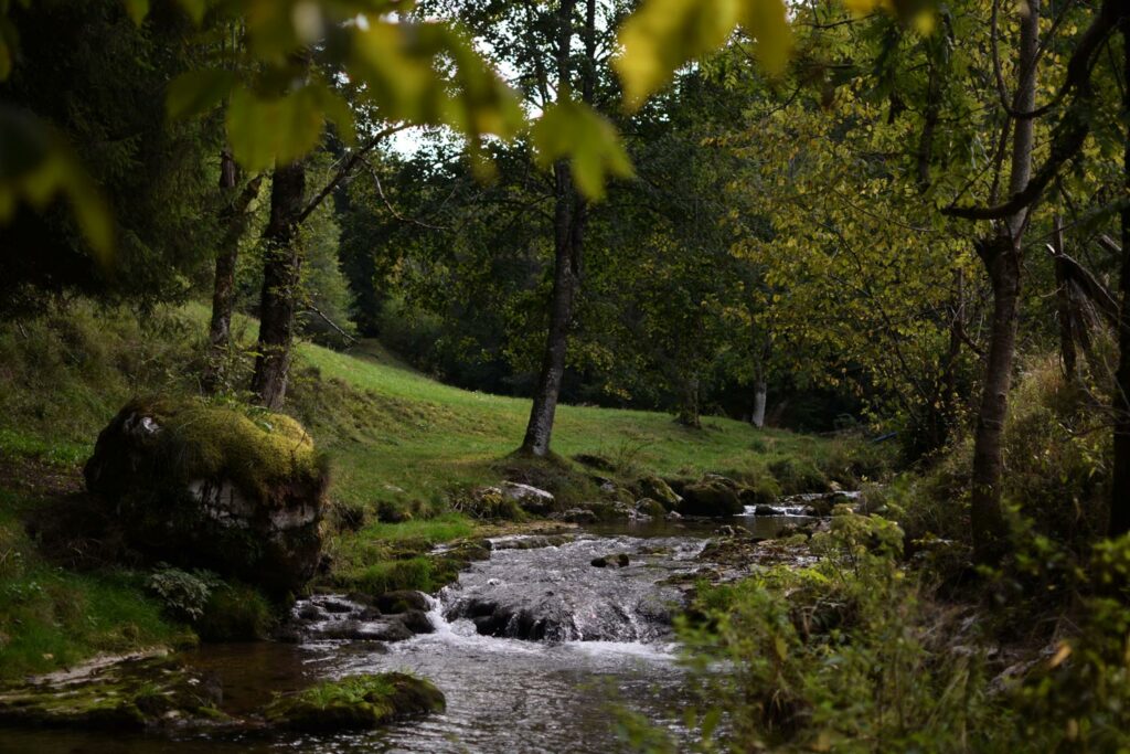A proximité de grenoble, une rivière dans les gorges d'engins accessible en randonnée