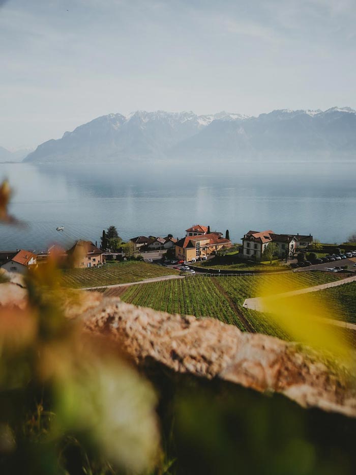 Randonnée dans le canton de Vaud sur les balcons du Léman : vignobles de Lavaux depuis Rivaz.