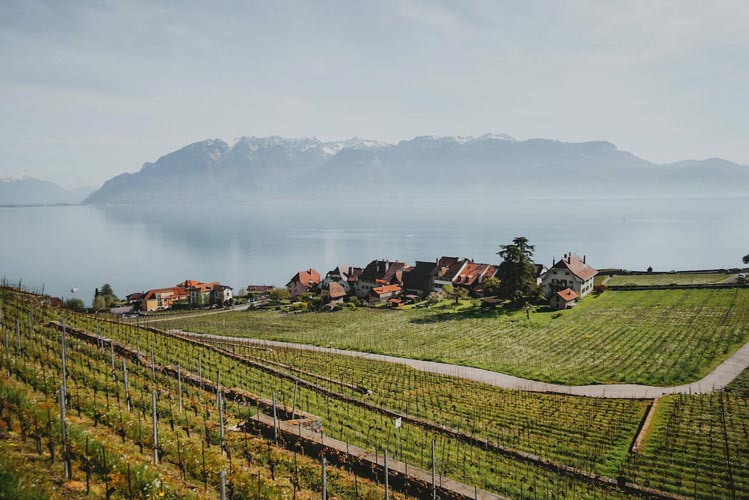 Randonnée dans le canton de Vaud sur les balcons du Léman : vignobles de Lavaux depuis Rivaz.