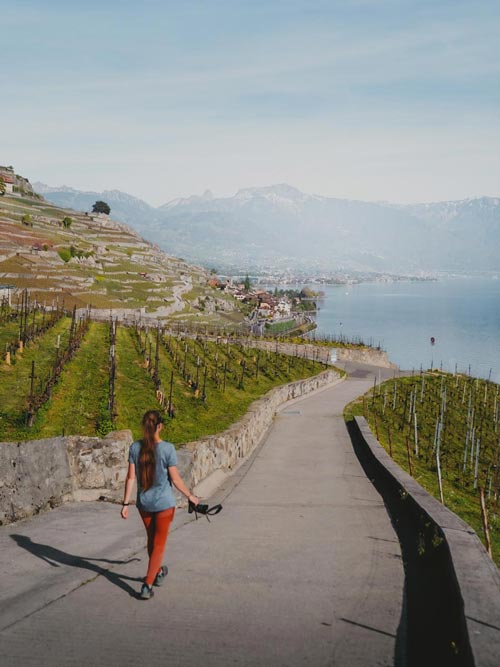 Randonnée dans le canton de Vaud sur les balcons du Léman : vignobles de Lavaux depuis Rivaz.