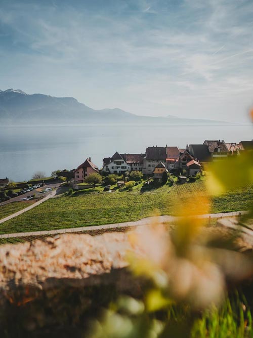 Randonnée dans le canton de Vaud sur les balcons du Léman : vignobles de Lavaux depuis Rivaz.