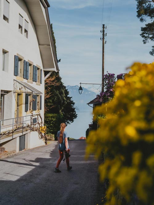 Randonnée dans le canton de Vaud sur les balcons du Léman : vignobles de Lavaux depuis Rivaz.