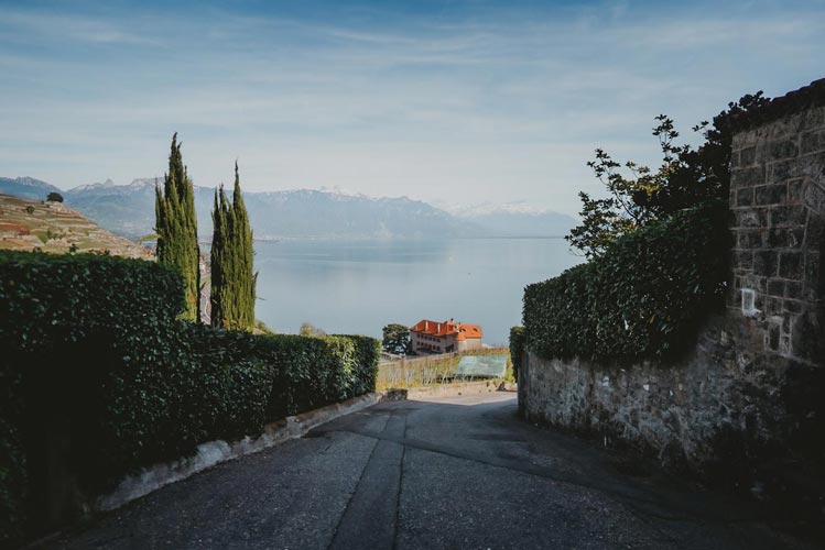 Randonnée dans le canton de Vaud sur les balcons du Léman : vignobles de Lavaux depuis Rivaz.