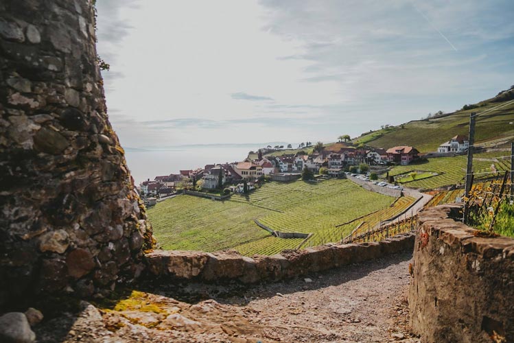 Randonnée dans le canton de Vaud sur les balcons du Léman : vignobles de Lavaux depuis Rivaz.