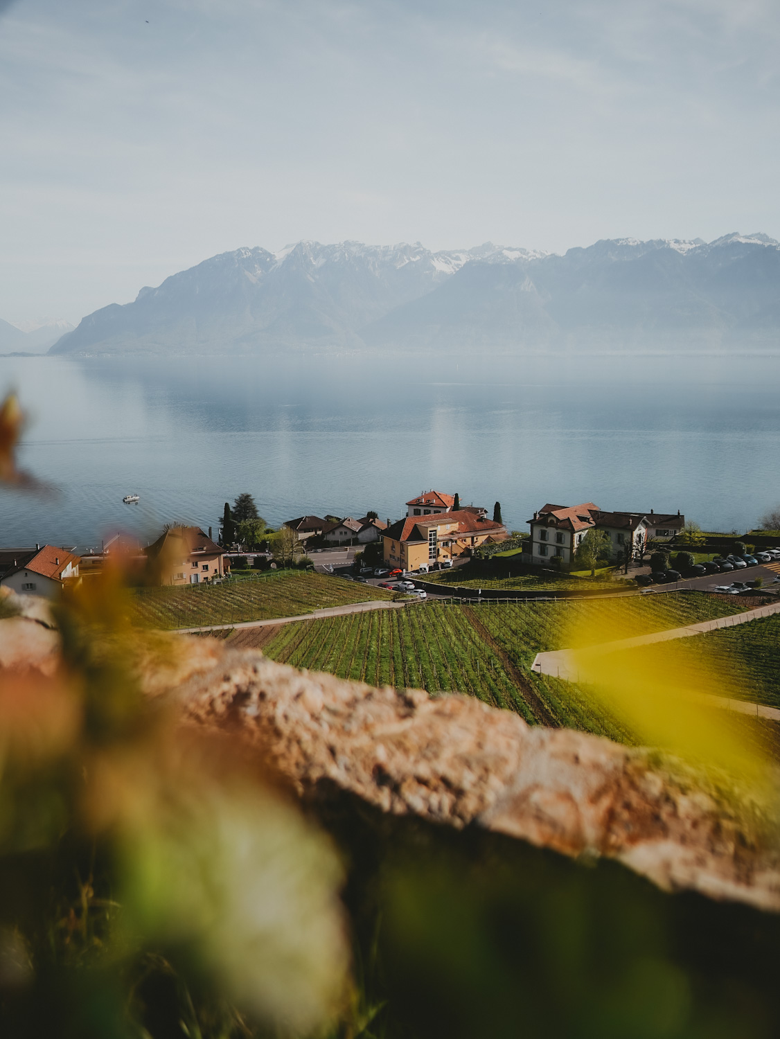 Randonnée dans les vignobles de Lavaux au bord du lac Léman canton de vaud Suisse