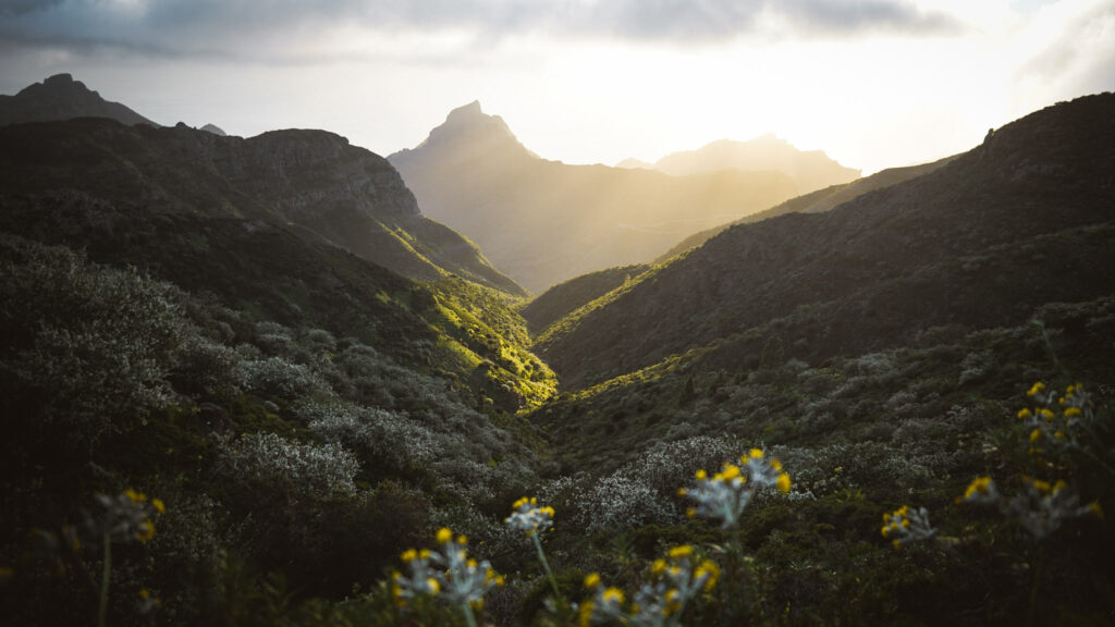 Masca : randonnée à Tenerife dans les montagnes de Masca. Itinéraire et conseils de randonnée dans les Canaries.
