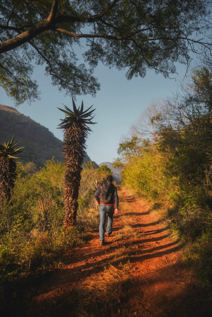 Rocky Drift Private Nature reserve
Road trip et safari en Afrique du Sud : parc Kruger, côte est, Drakenberg. 