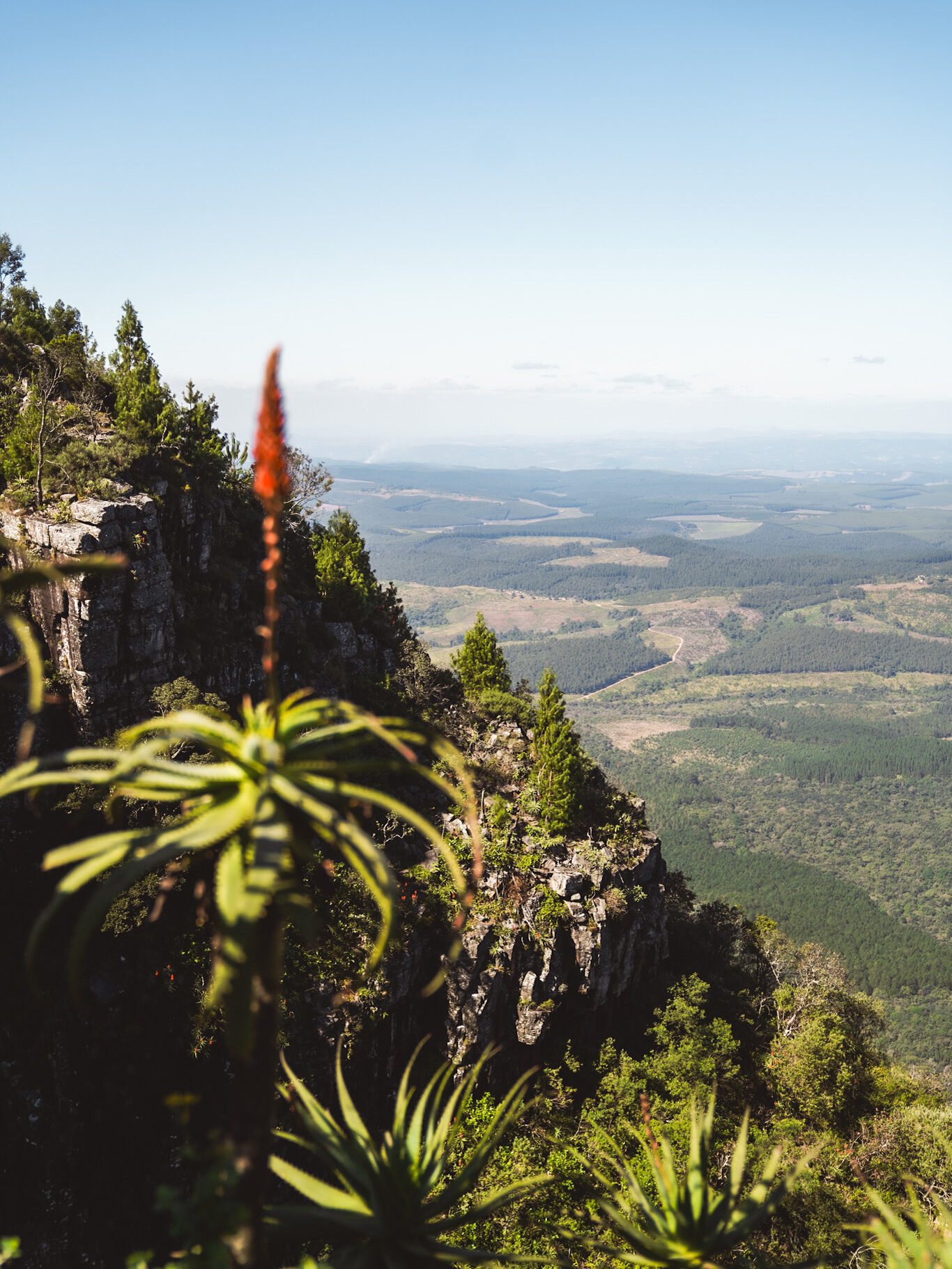 Road trip et safari en Afrique du Sud : parc Kruger, côte est, Drakenberg. Blyde River Canyon. Graskop