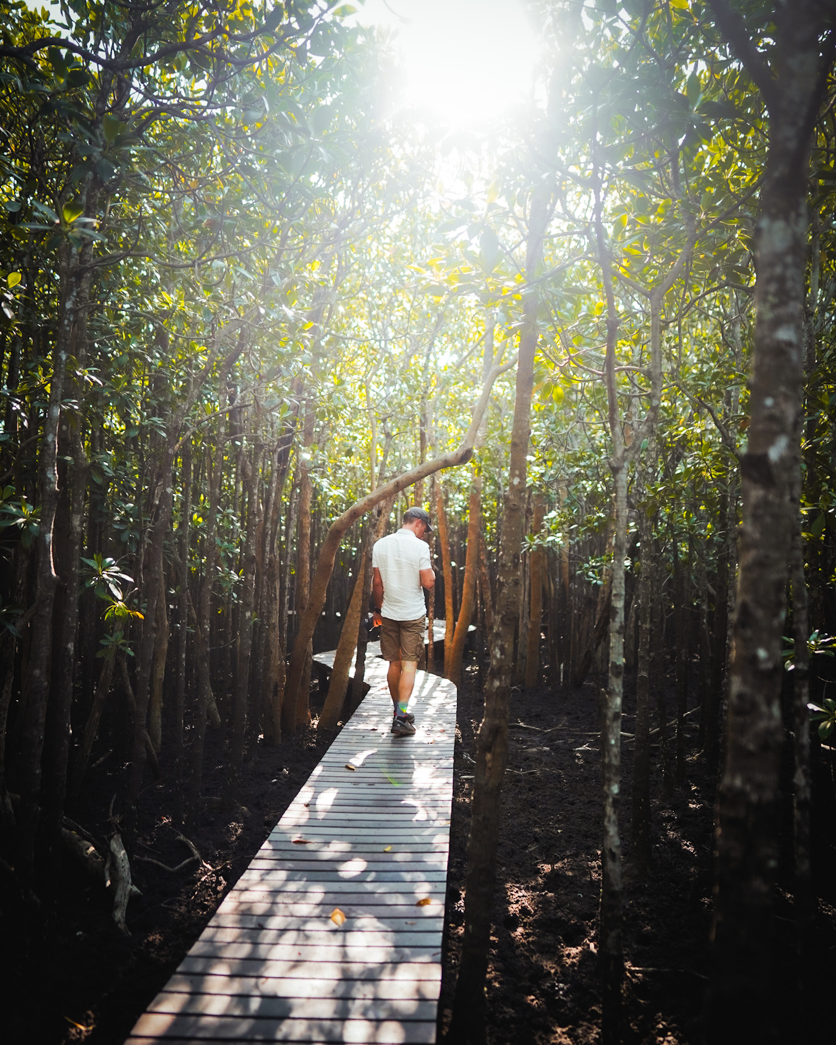 Road trip et safari en Afrique du Sud : parc Kruger, côte est, Drakenberg. Randonnée itinéraires et recommandations, blog voyage, randonnée, trek et vanlife, Explore à Perte de Vue