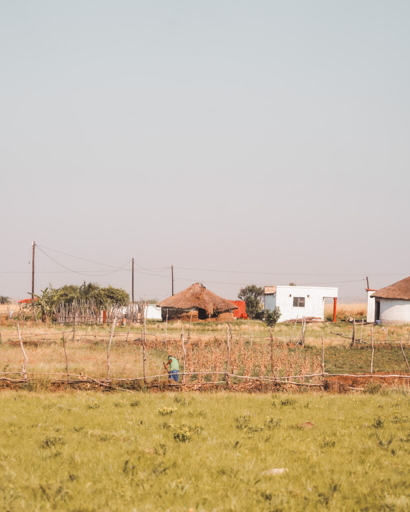 Road trip et safari en Afrique du Sud : parc Kruger, côte est, Drakenberg. Les inégalités sociales.