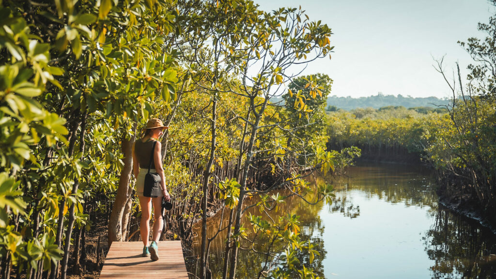 Road trip et safari en Afrique du Sud : parc Kruger, côte est, Drakenberg. Randonnée itinéraires et recommandations, blog voyage, randonnée, trek et vanlife, Explore à Perte de Vue