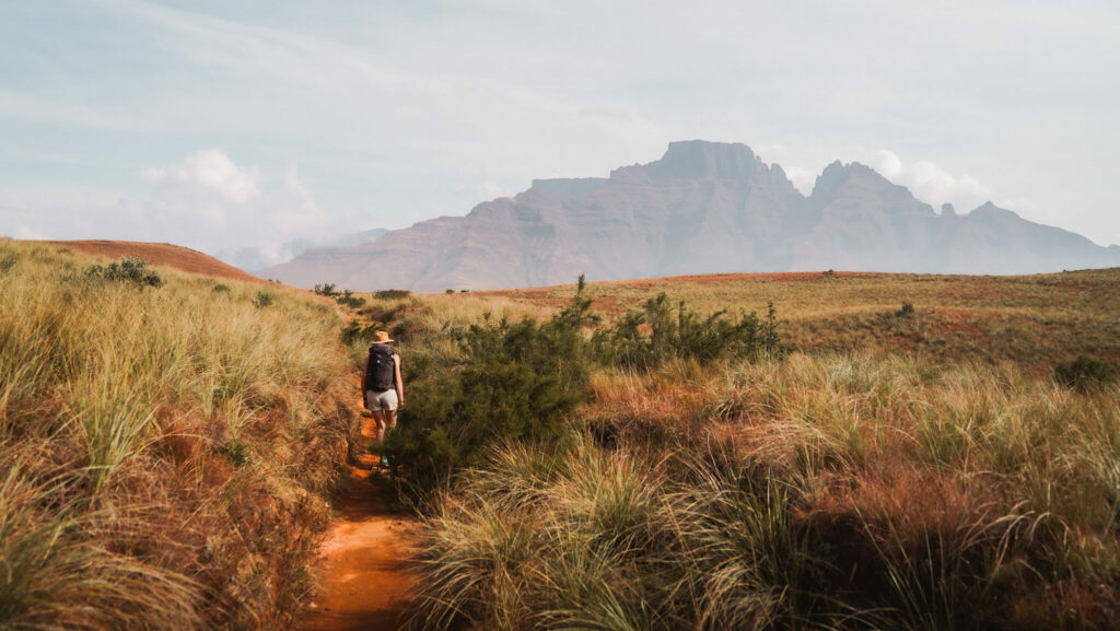 Road trip et safari en Afrique du Sud : parc Kruger, côte est, Drakenberg. Randonnée dans les montagnes du Drakensberg. Randonnée itinéraires et recommandations, blog voyage, randonnée, trek et vanlife, Explore à Perte de Vue