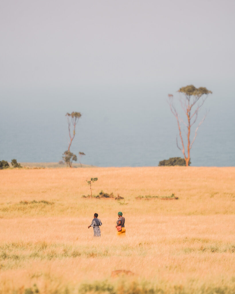 Randonnée le long de la rivière Mzamba et passerelle Mzamba, Wild Coast, océan Indien, Port Edward, Afrique du Sud