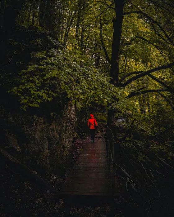 Blog d'itinéraires de trek et randonnée et conseil voyage. Randonnée dans les Gorges de la Jogne dans le canton de Fribourg en Suisse