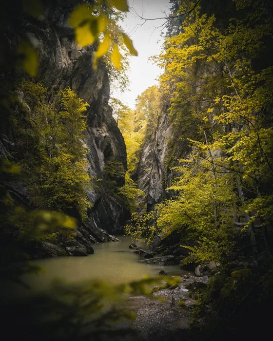 Blog d'itinéraires de trek et randonnée et conseil voyage. Randonnée dans les Gorges de la Jogne dans le canton de Fribourg en Suisse