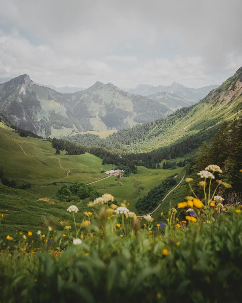 Trek dans le Pays d'Enhaut de Montreux à Jaun. Itinéraire avec retour en train Golden Pass, canton de Vaud et Fribourg.