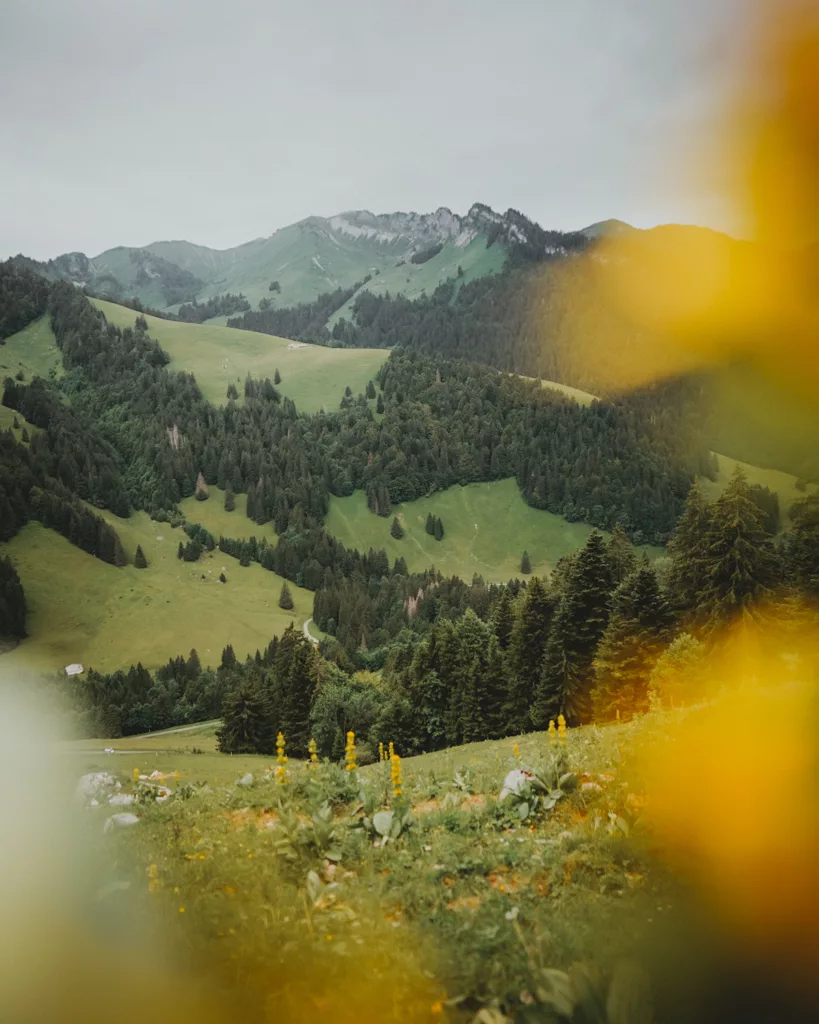 Trek dans le Pays d'Enhaut de Montreux à Jaun. Itinéraire avec retour en train Golden Pass, canton de Vaud et Fribourg.