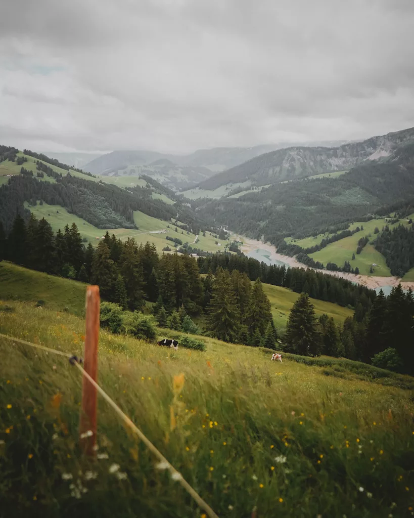 Trek dans le Pays d'Enhaut de Montreux à Jaun. Itinéraire avec retour en train Golden Pass, canton de Vaud et Fribourg.