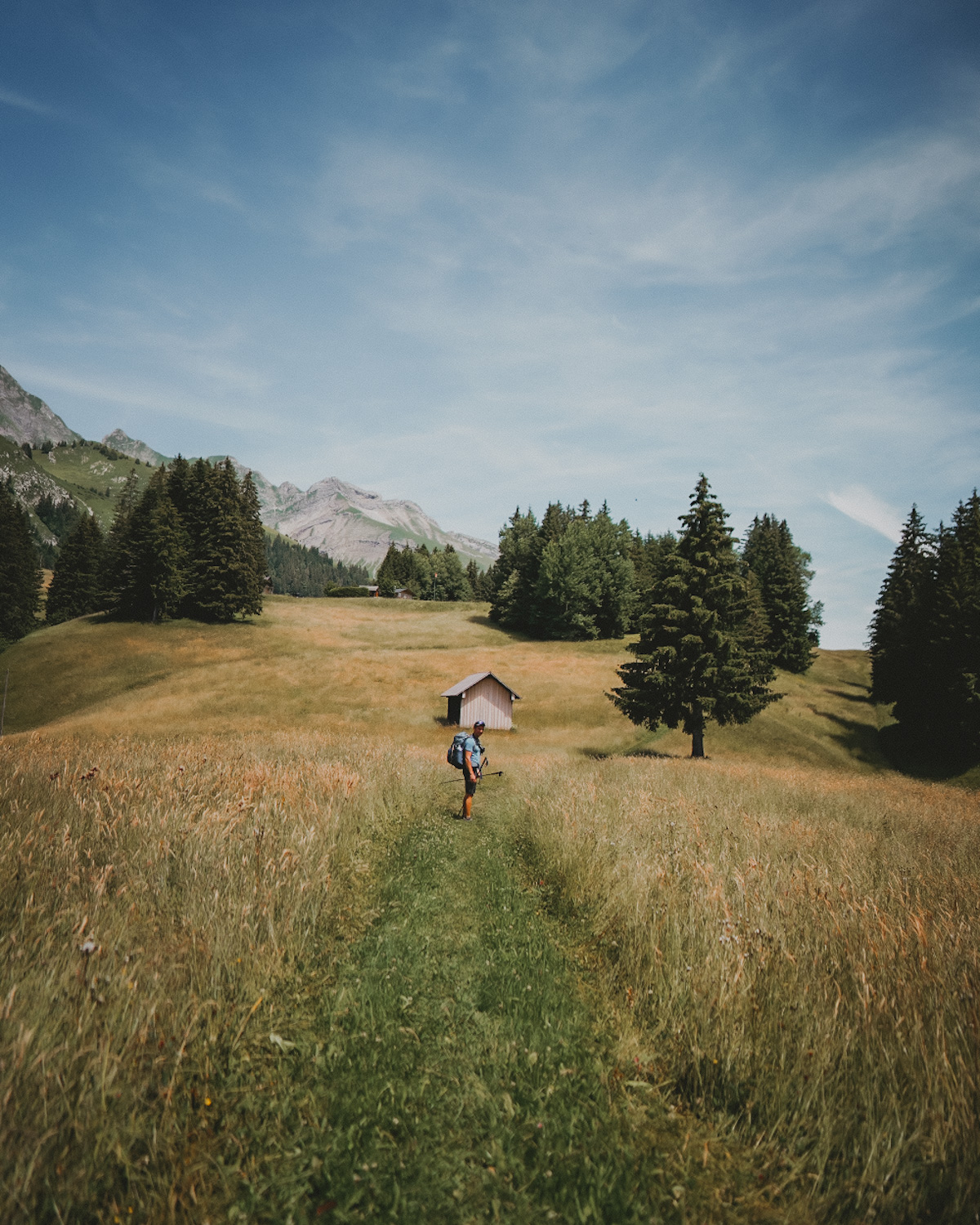 Trek dans le Pays d'Enhaut de Montreux à Jaun. Itinéraire avec retour en train Golden Pass, canton de Vaud et Fribourg.