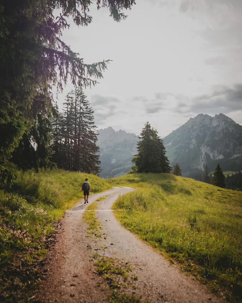 Trek dans le Pays d'Enhaut de Montreux à Jaun. Itinéraire avec retour en train Golden Pass, canton de Vaud et Fribourg.