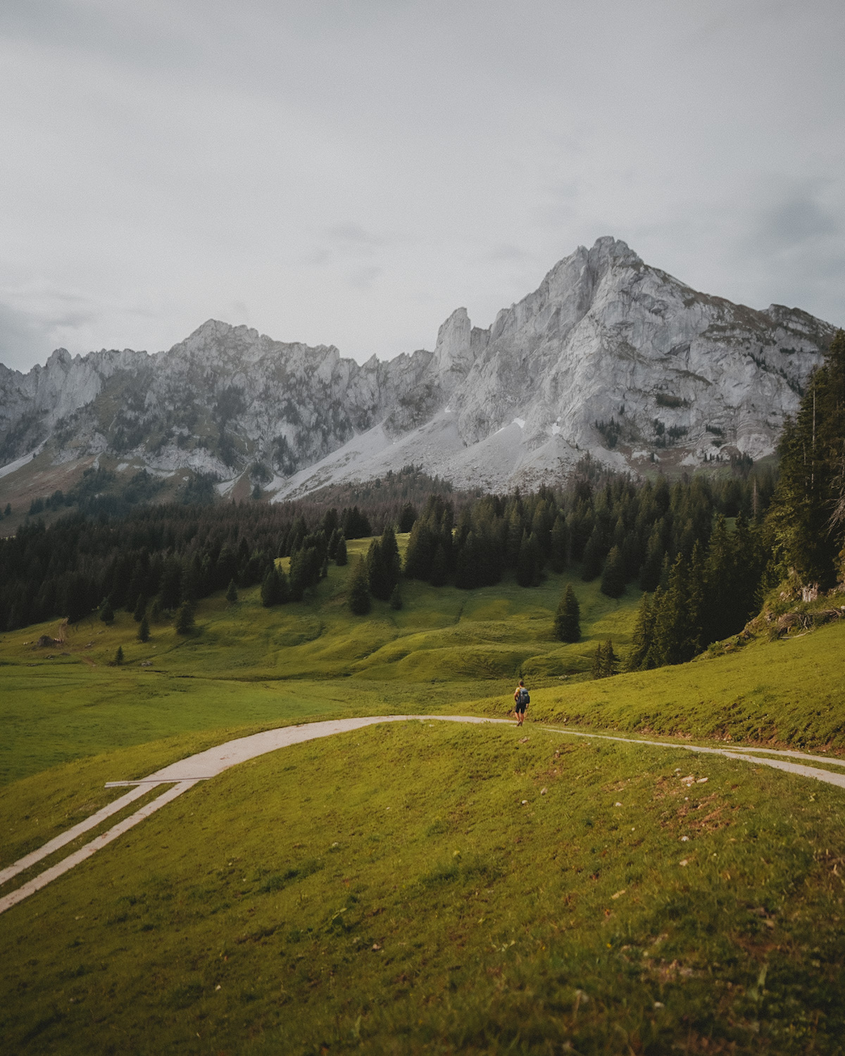 Trek dans le Pays d'Enhaut de Montreux à Jaun. Itinéraire avec retour en train Golden Pass, canton de Vaud et Fribourg.