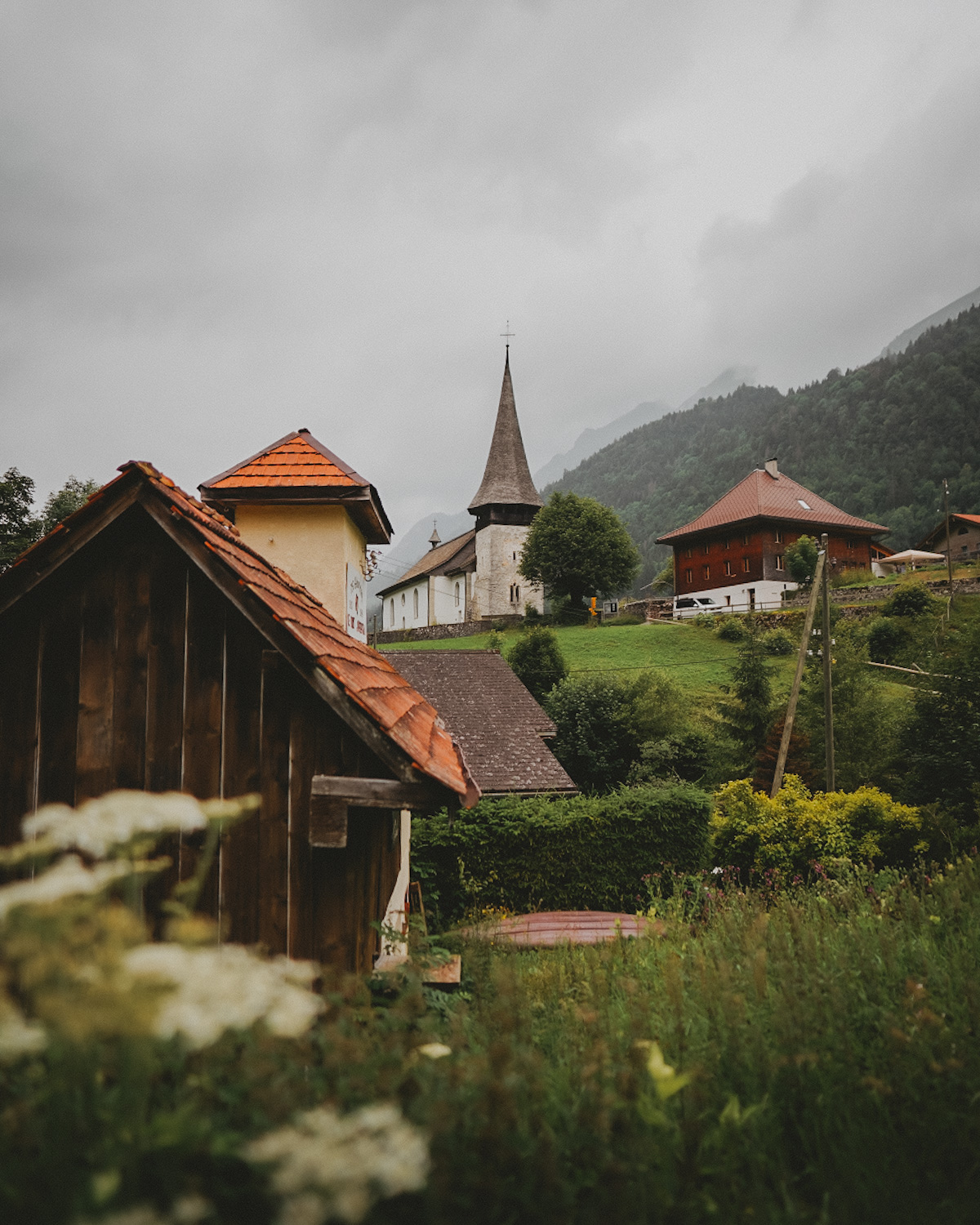 Trek dans le Pays d'Enhaut de Montreux à Jaun. Itinéraire avec retour en train Golden Pass, canton de Vaud et Fribourg.