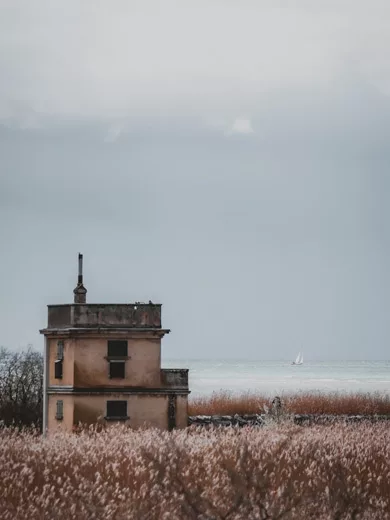 Promenade dans la réserve de la sauge lac de Neuchâtel, canton de Fribourg en Suisse. Observatoire ornithologique de la Sauge.